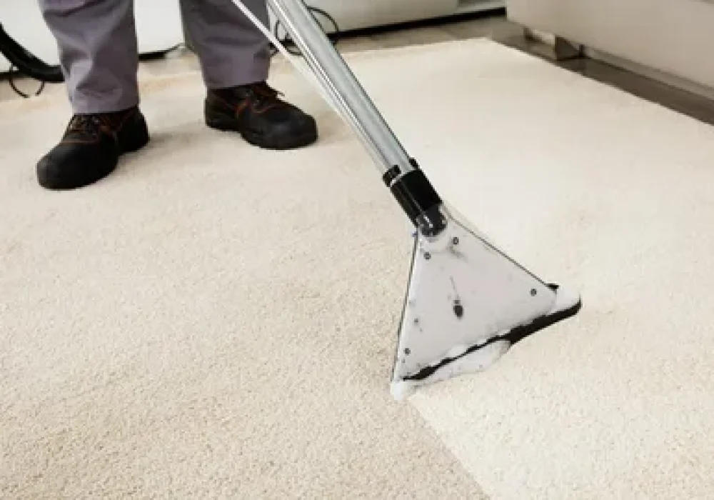 Professional Auto Detailing in Ottawa by Ottawa Carpet Cleaning