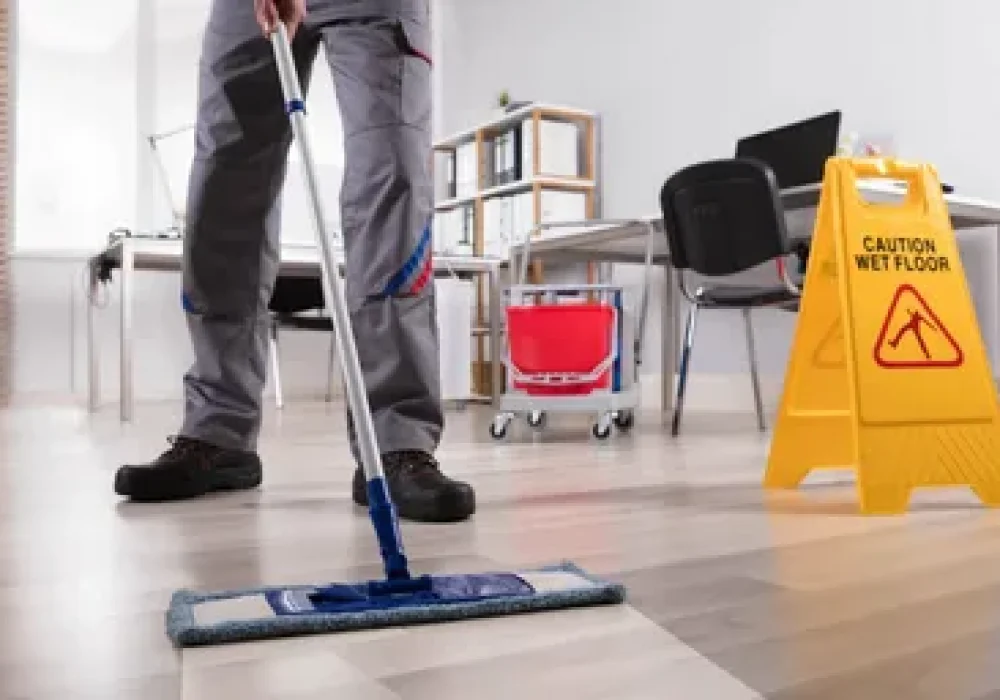 Professional Auto Detailing in Ottawa by Ottawa Carpet Cleaning