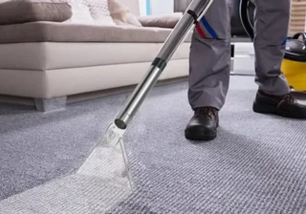 Professional Pet Stain Cleaning in Ottawa Ottawa Carpet Cleaning