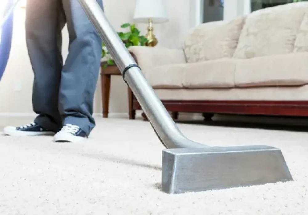Professional Upholstery Cleaning in Ottawa by Ottawa Carpet Cleaning