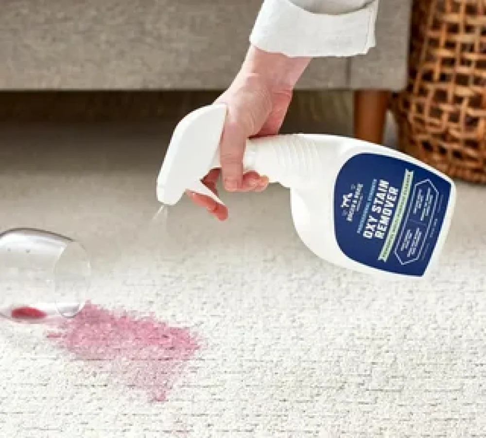 Professional Pet Stain Cleaning in Ottawa Ottawa Carpet Cleaning