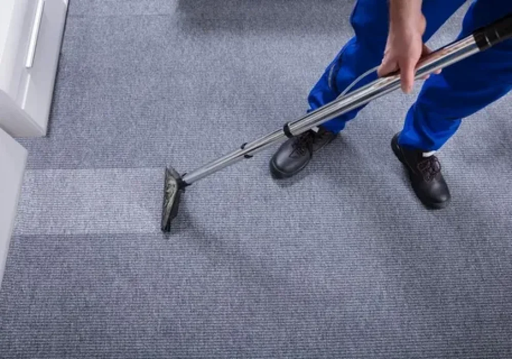 Professional Pet Stain Cleaning in Ottawa Ottawa Carpet Cleaning