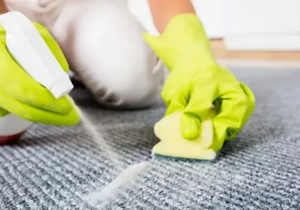 Professional Pet Stain Cleaning in Ottawa Ottawa Carpet Cleaning