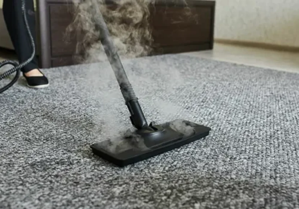 Expert Carpet Cleaning in Ottawa by Ottawa Carpet Cleaning