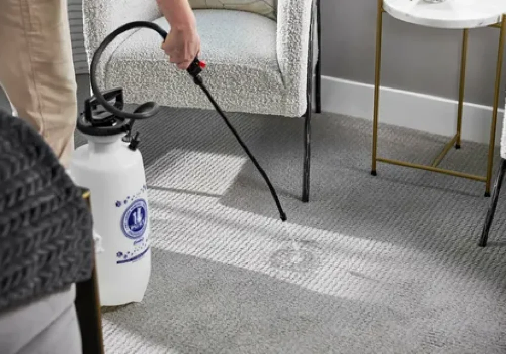 Expert Carpet Cleaning in Ottawa by Ottawa Carpet Cleaning