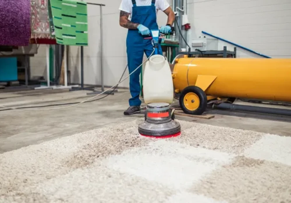 Professional Rug Cleaning in Ottawa by Ottawa Carpet Cleaning