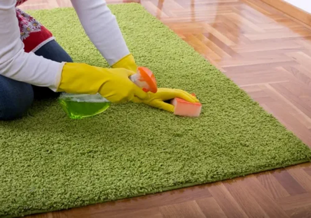 Professional Rug Cleaning in Ottawa by Ottawa Carpet Cleaning