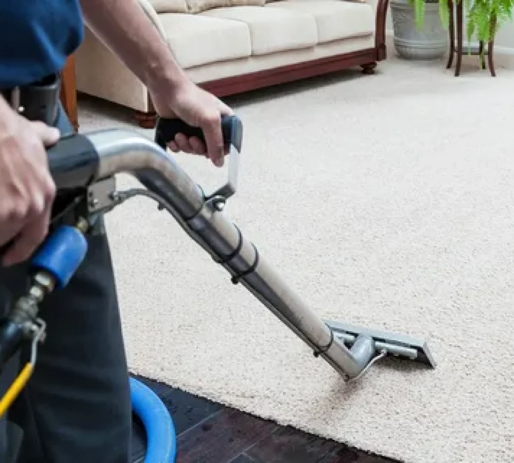 Professional Rug Cleaning in Ottawa by Ottawa Carpet Cleaning