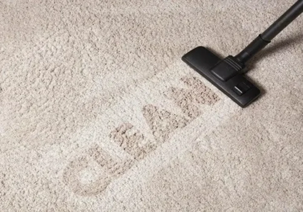 Professional Rug Cleaning in Ottawa by Ottawa Carpet Cleaning